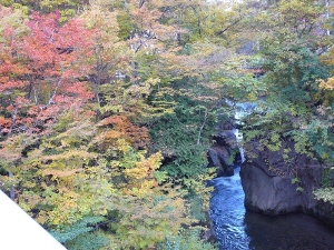 奈良俣ダム近くの川で